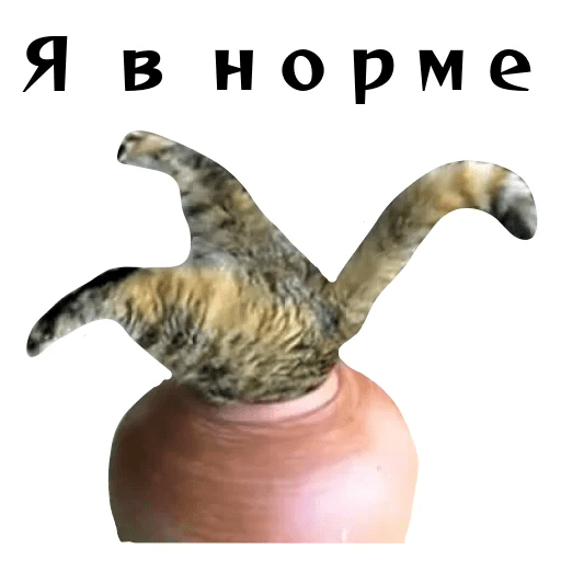 Стикеры Колкие фразы