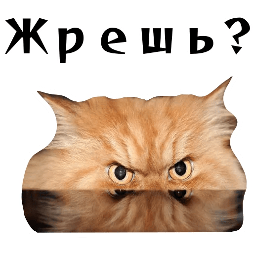 Стикеры Колкие фразы