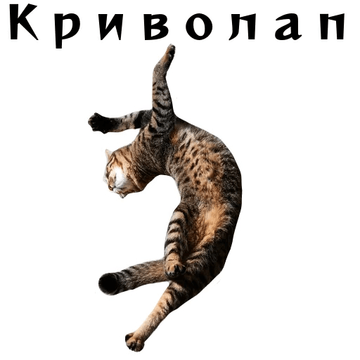 Стикеры Колкие фразы