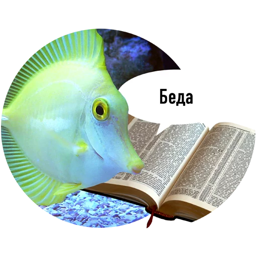 Стикеры Рыбы пытаются читать