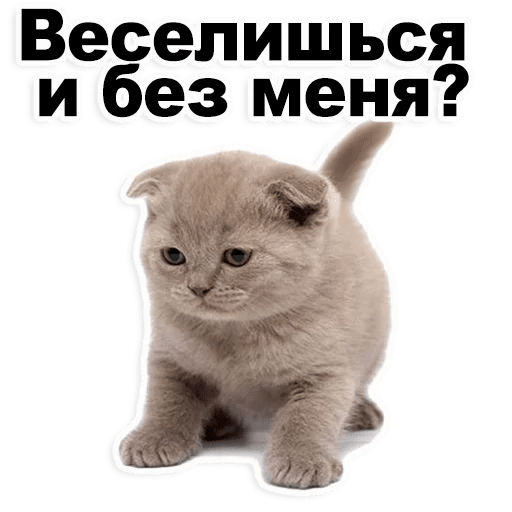 Стикеры Котята