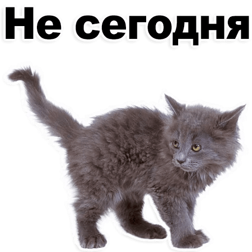 Стикеры Котята