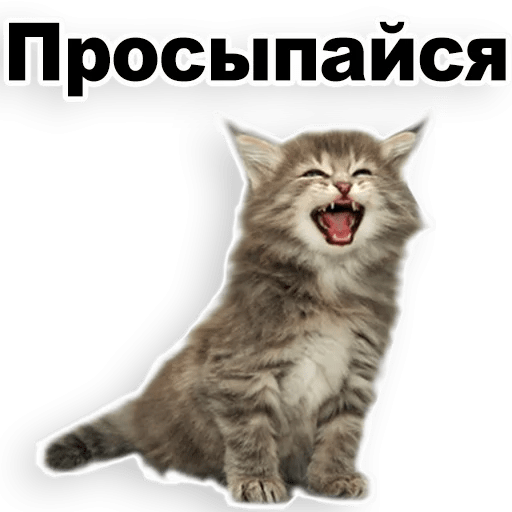 Стикеры Котята