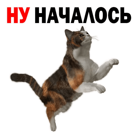 Стикеры Котята