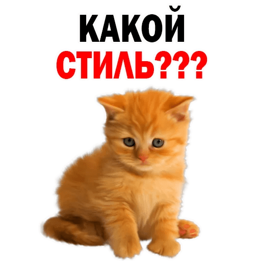 Стикеры Котята