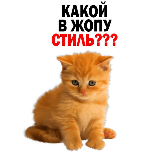 Стикеры Котята