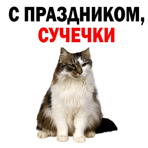 Стикеры Котята