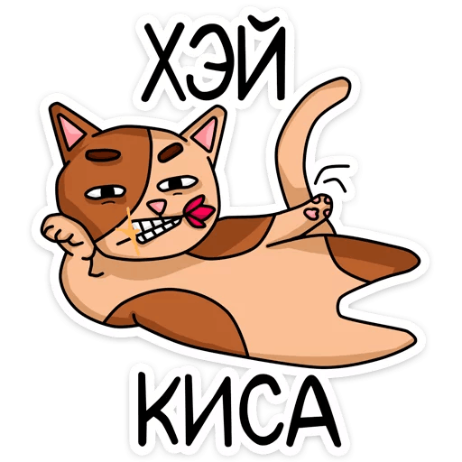 Стикеры Котики