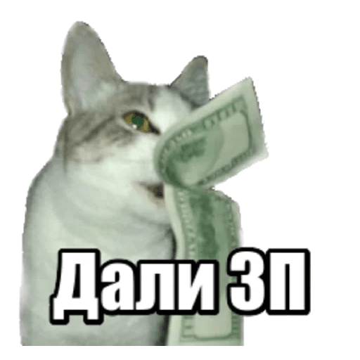 Стикеры 40 кошек