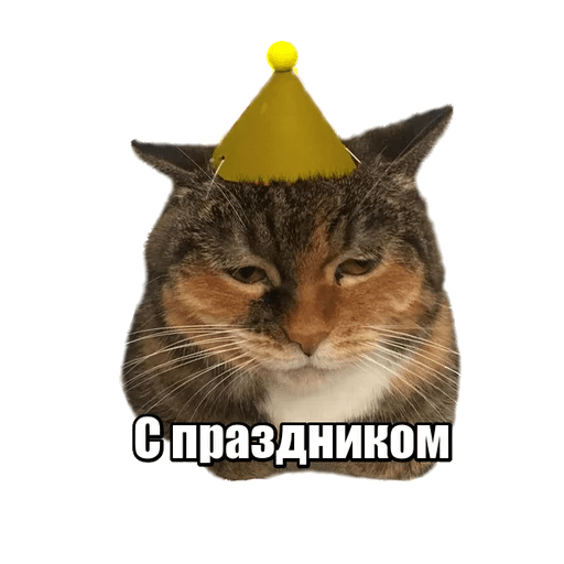 Стикеры 40 кошек