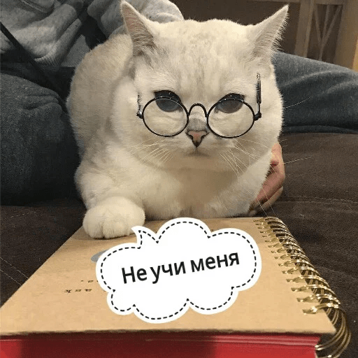 Стикеры Котик Цмок 2