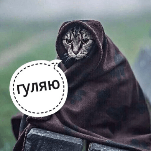 Стикеры Котик Цмок 2