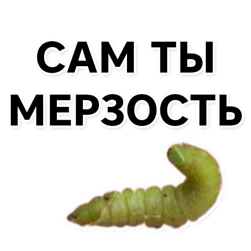 Стикеры Тутовый шелкопряд