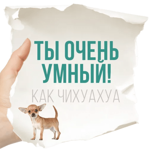 Стикеры Честные записки