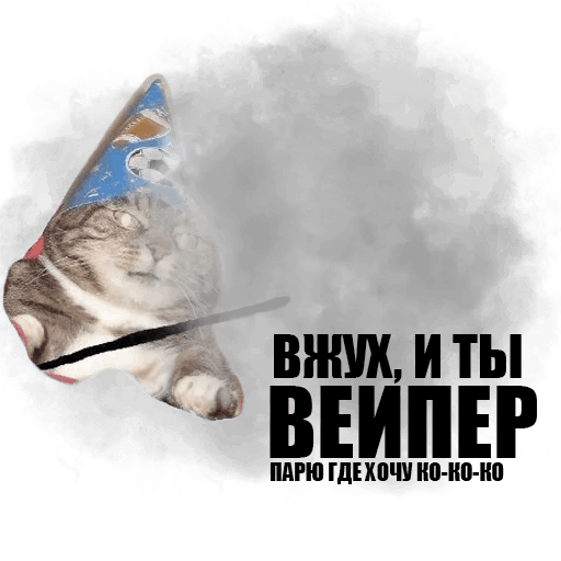 Стикеры Кот вжух