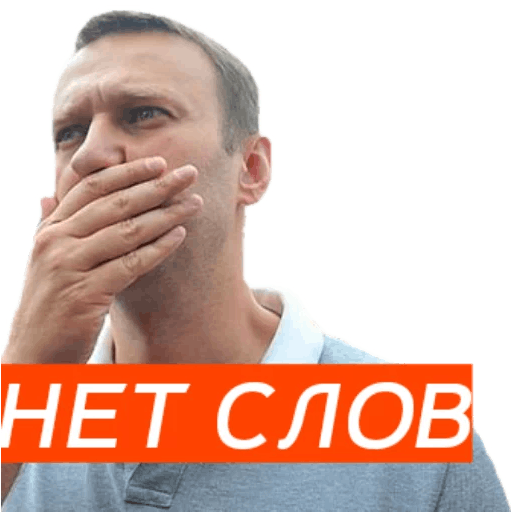 Стикеры Навальный