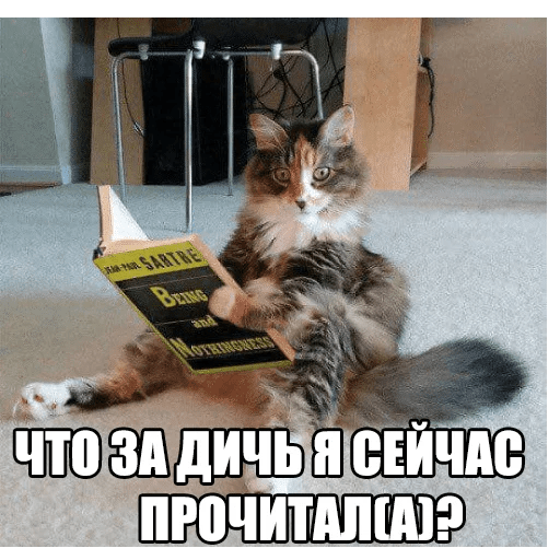 Стикеры Котеечные дела