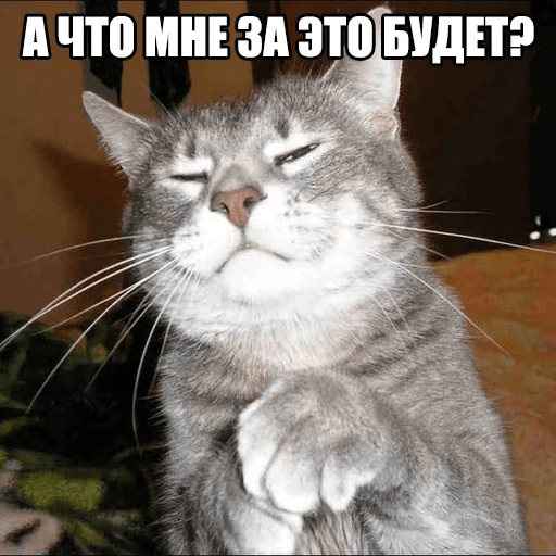 Стикеры Котеечные дела