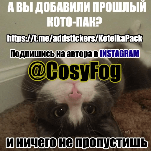 Стикеры Котеечные дела