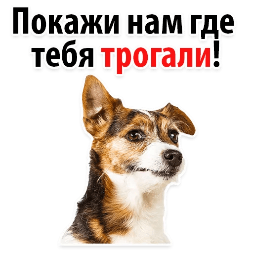 Стикеры ? Собачий Слэнг