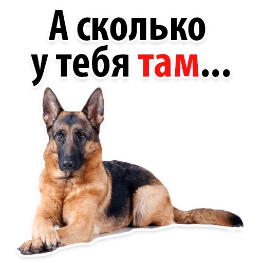 Стикеры ? Собачий Слэнг