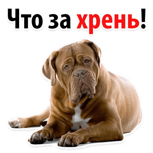 Стикеры ? Собачий Слэнг