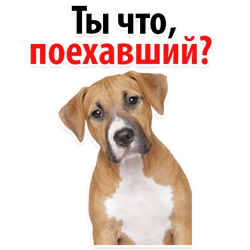 Стикеры ? Собачий Слэнг