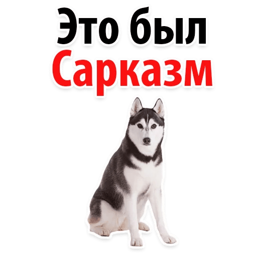 Стикеры ? Собачий Слэнг