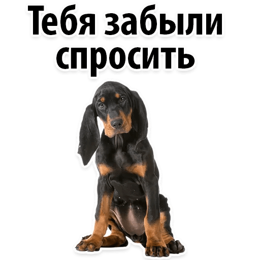 Стикеры ? Собачий Слэнг