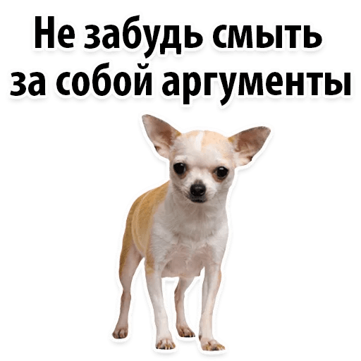 Стикеры ? Собачий Слэнг