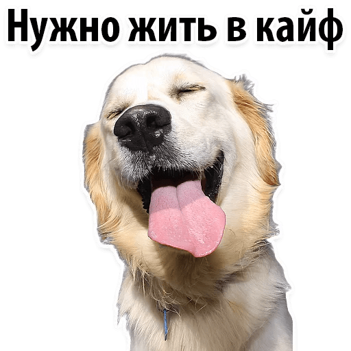 Стикеры ? Собачий Слэнг