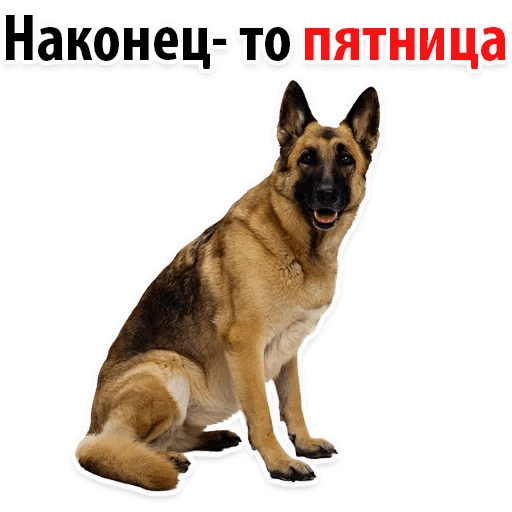 Стикеры ? Собачий Слэнг