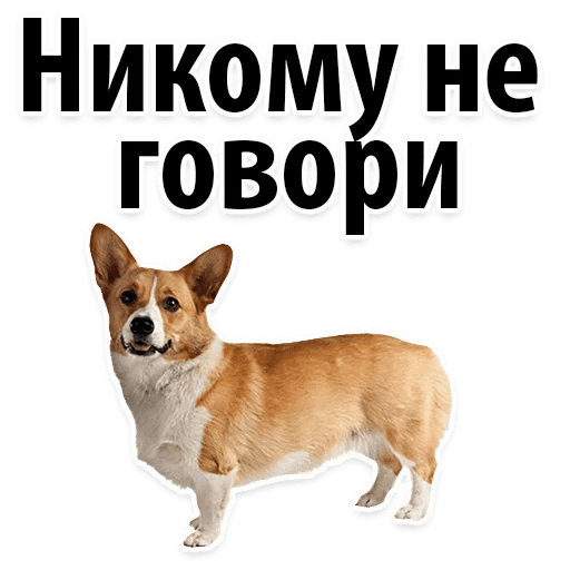 Стикеры ? Собачий Слэнг