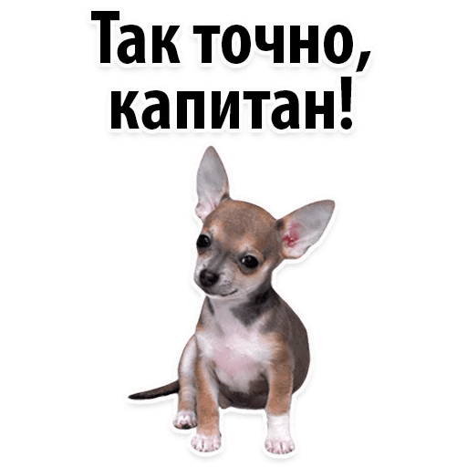 Стикеры ? Собачий Слэнг