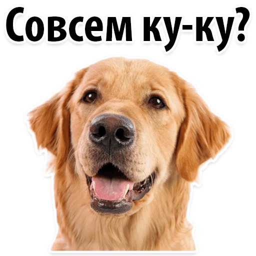 Стикеры ? Собачий Слэнг