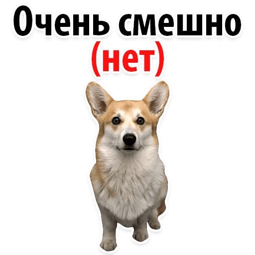 Стикеры ? Собачий Слэнг